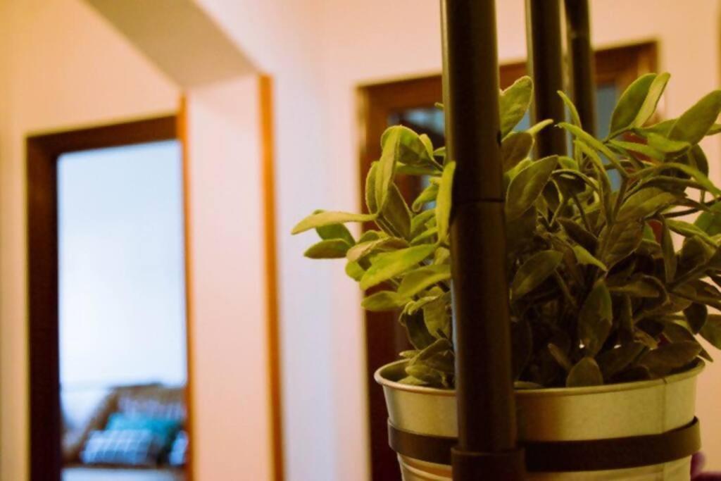 Appartement Conide, El Mirador à Oviede Chambre photo